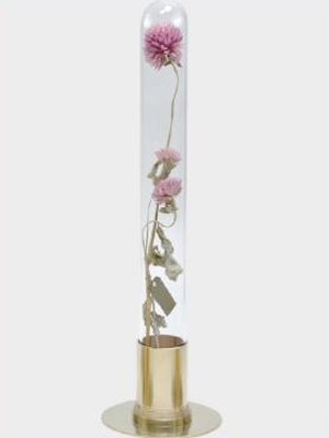 Herbarium en laiton brillant